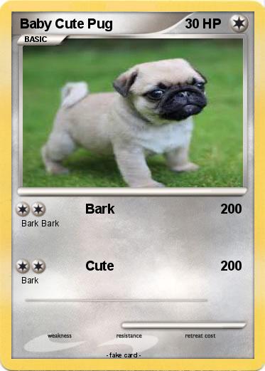 Pokemon Baby Cute Pug