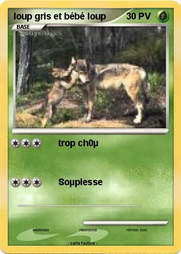 Pokemon loup gris et bébé loup