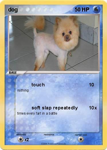 Pokemon dog