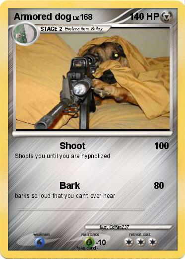 Pokemon Armored dog