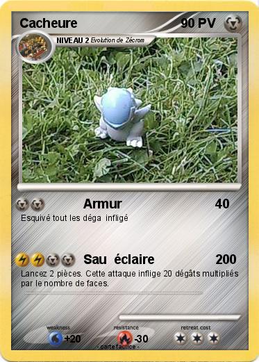 Pokemon Cacheure