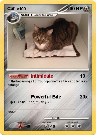 Pokemon Cat