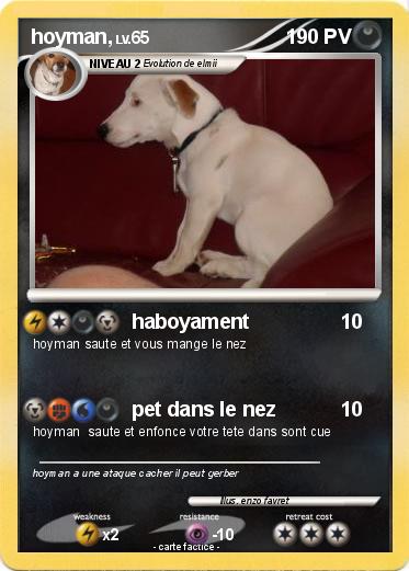 Pokemon hoyman,