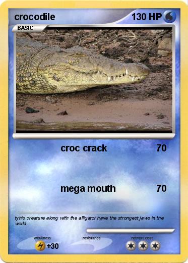 Pokemon crocodile