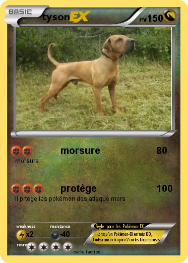 Pokemon tyson