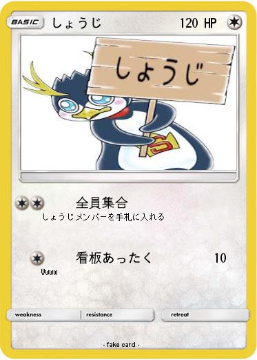 Pokemon しょうじ