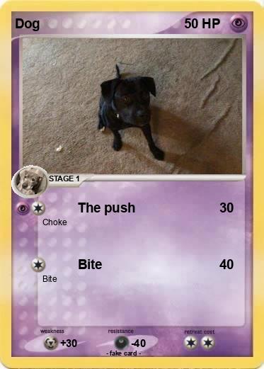 Pokemon Dog