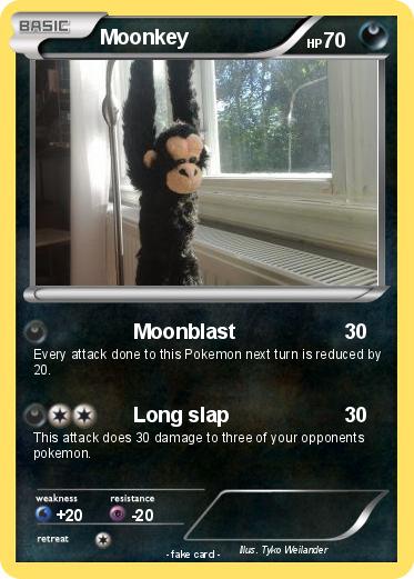 Pokemon Moonkey
