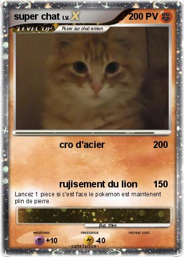 Pokemon super chat