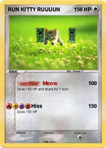 Pokemon RUN KITTY RUUUUN