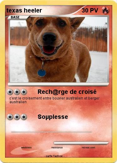 Pokemon texas heeler