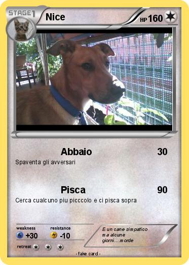 Pokemon Nice