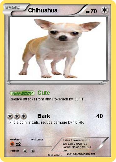 Pokemon Chihuahua