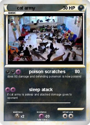 Pokemon cat army