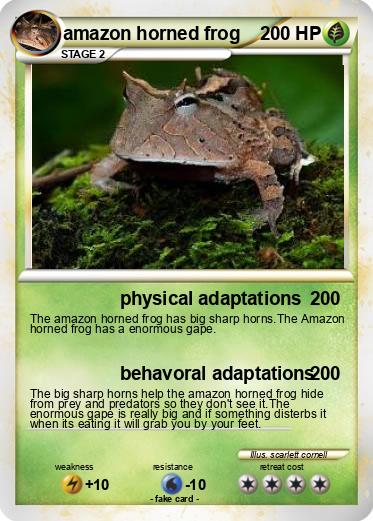 Pokemon amazon horned frog