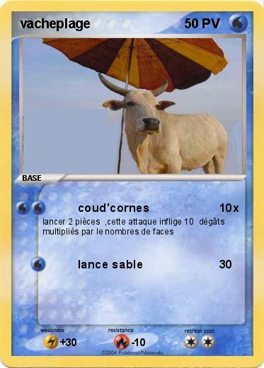 Pokemon vacheplage