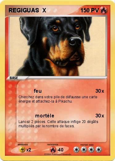 Pokemon REGIGUAS  X