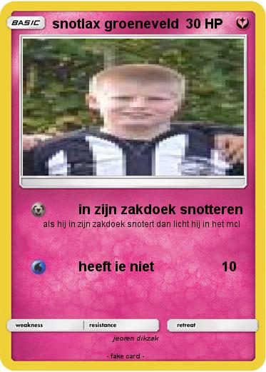 Pokemon snotlax groeneveld