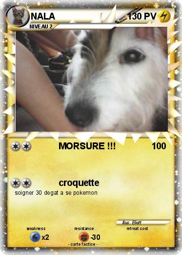 Pokemon NALA