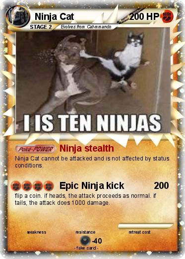 Pokemon Ninja Cat