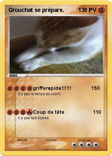 Pokemon Grouchat se prépare.