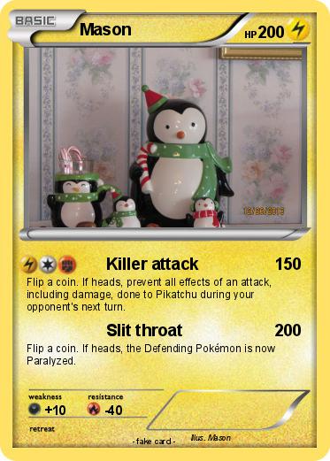 Pokemon Mason