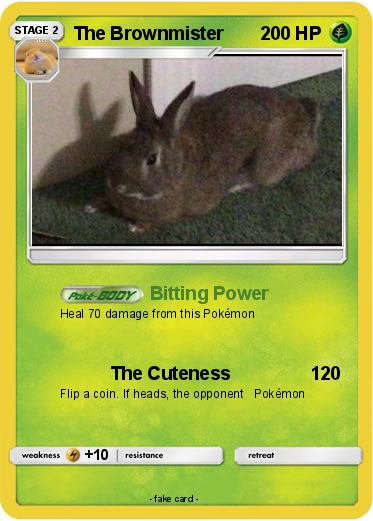 Pokemon The Brownmister