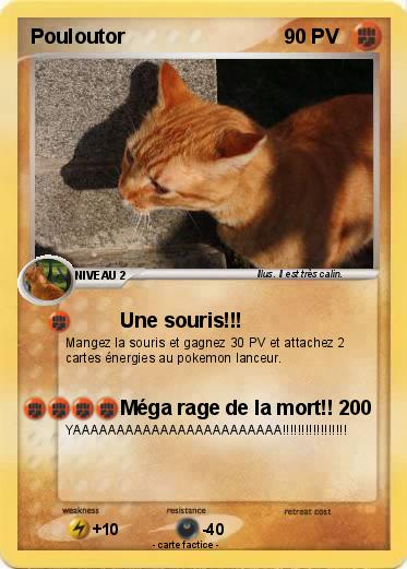 Pokemon Pouloutor