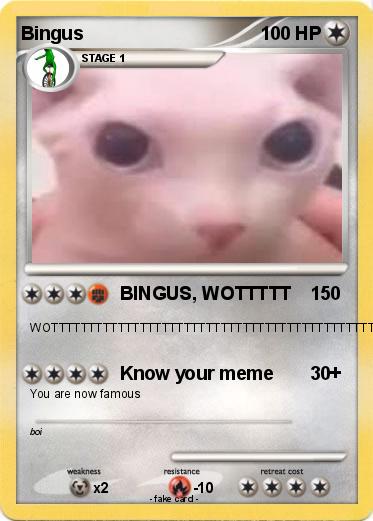 Pokemon Bingus