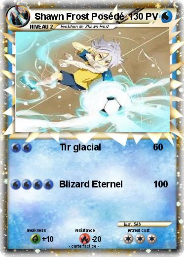 Pokemon Shawn Frost Posédé