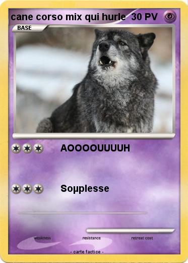 Pokemon cane corso mix qui hurle