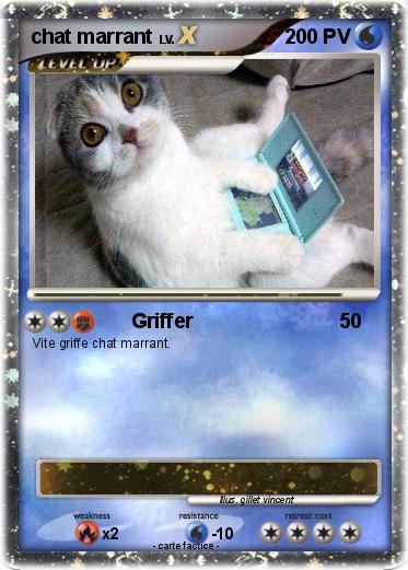 Pokemon chat marrant