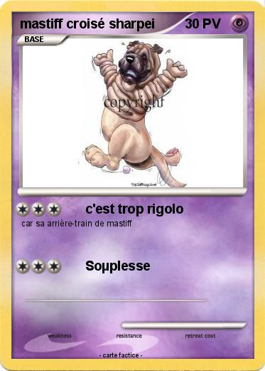 Pokemon mastiff croisé sharpei