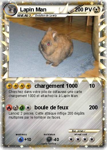 Pokemon Lapin Man