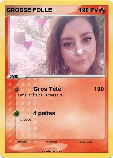 Pokemon GROSSE FOLLE
