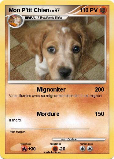 Pokemon Mon P'tit Chien