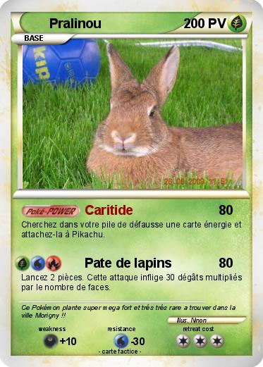 Pokemon Pralinou