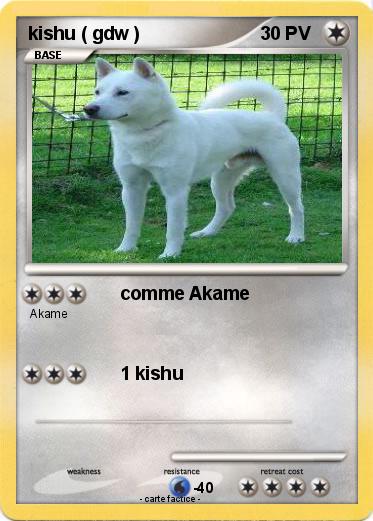 Pokemon kishu ( gdw )