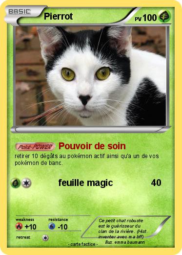 Pokemon Pierrot