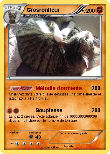 Pokemon Grosronfleur