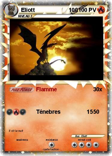 Pokemon Eliott                      100