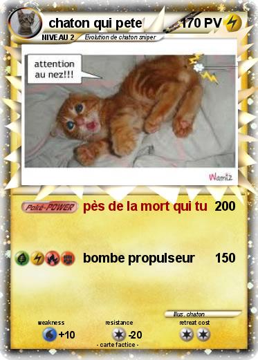 Pokemon chaton qui pete