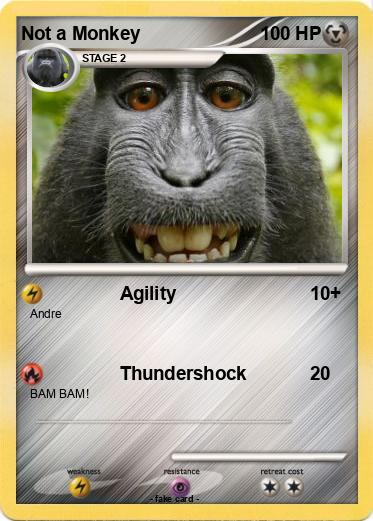 Pokemon Not a Monkey