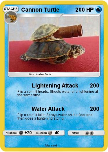 Pokemon Cannon Turtle