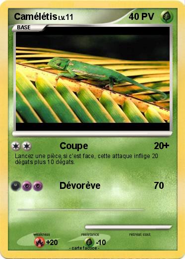 Pokemon Camélétis