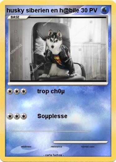 Pokemon husky siberien en h@bile