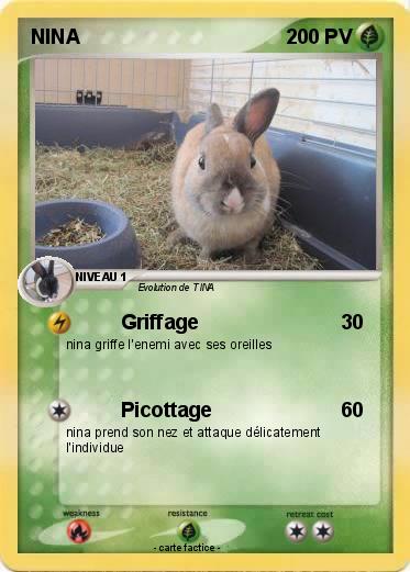 Pokemon NINA