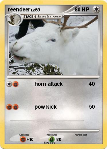 Pokemon reendeer