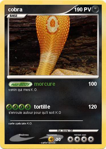Pokemon cobra