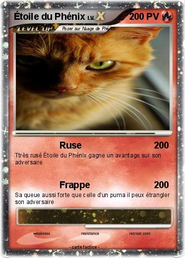 Pokemon Étoile du Phénix
